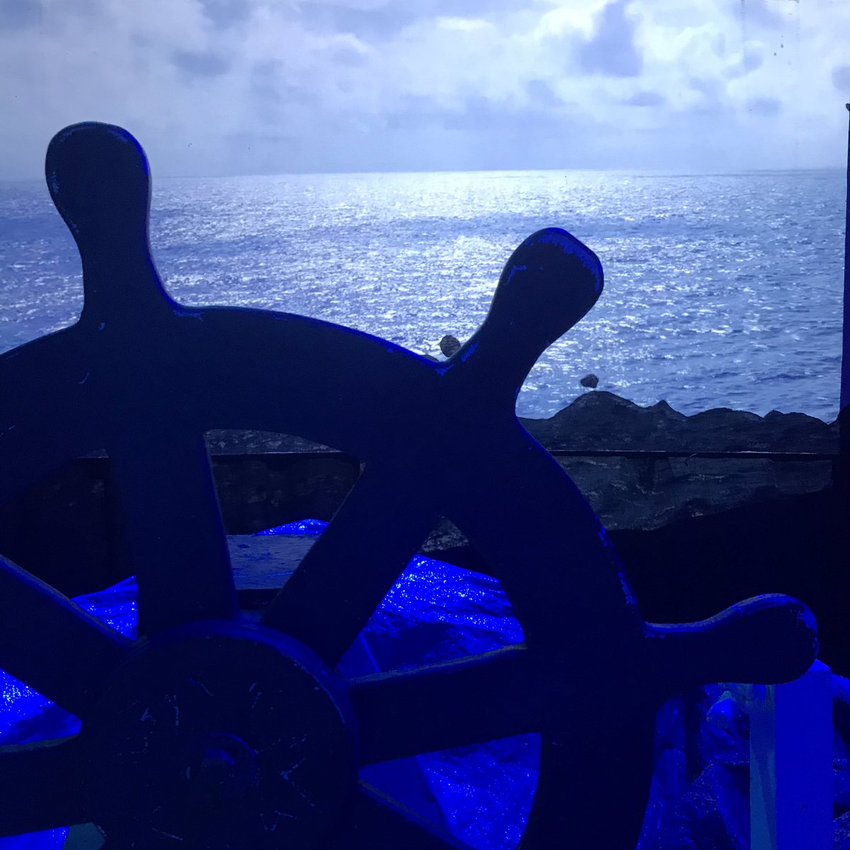 MSETarts's tweet photo. Mid-way through week 1 of our immersive installation exclusive to pupils at a Tower Hamlets school. We’re going on a journey. What do you think we’ll see? Who do you think we’ll meet? #habitats #immersiveinstallation https://t.co/V5s5HuZdWw