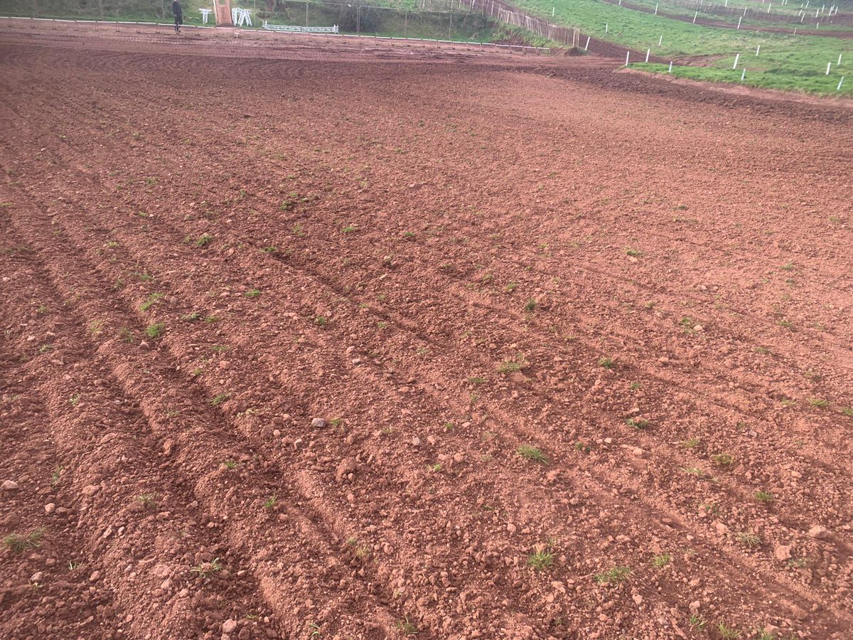 BYNSeries's tweet photo. Little Silver this morning!
We still have a couple of spaces left in the Small Wheel 85cc and Big Wheel 85cc classes.
Find out more at https://t.co/WIMCPWPQTC or https://t.co/k8B3lrdxVt
#juddktmbyc #mxgb #ukmx #britishmx #mx #motocross #littlesilvermx #rhlactivities https://t.co/5QEC9lsc7z