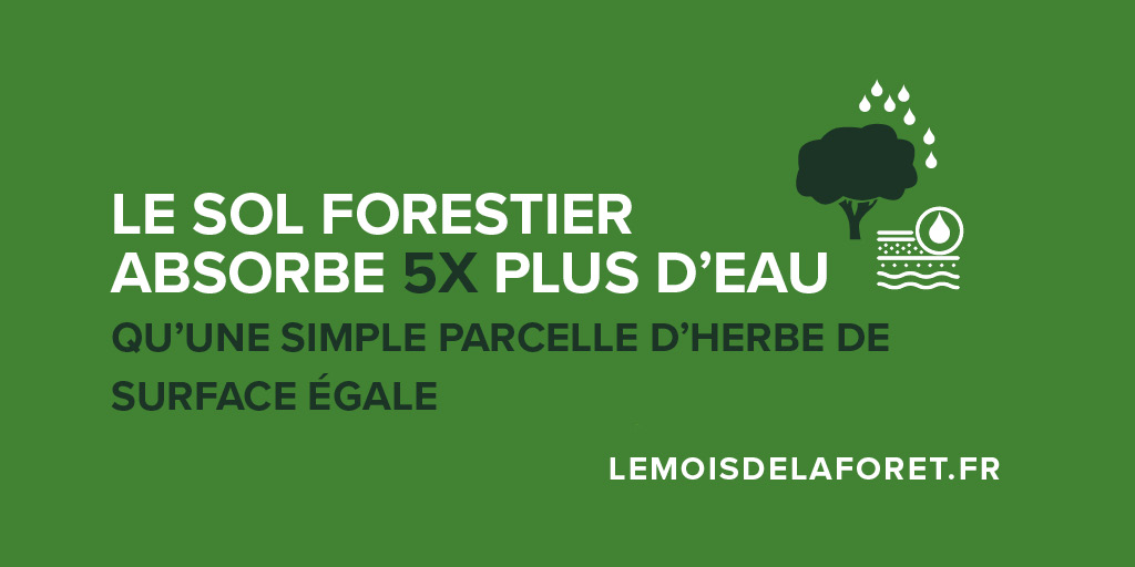 PEFCFrance's tweet photo. [#MoisdelaForêt]: Les arbres contribuent à limiter les phénomènes d’érosion, les inondations, les crues et les glissements de terrain. Afin de les préserver, la gestion durable des forêts est essentielle. #reforestaction https://t.co/muFB2UjR73