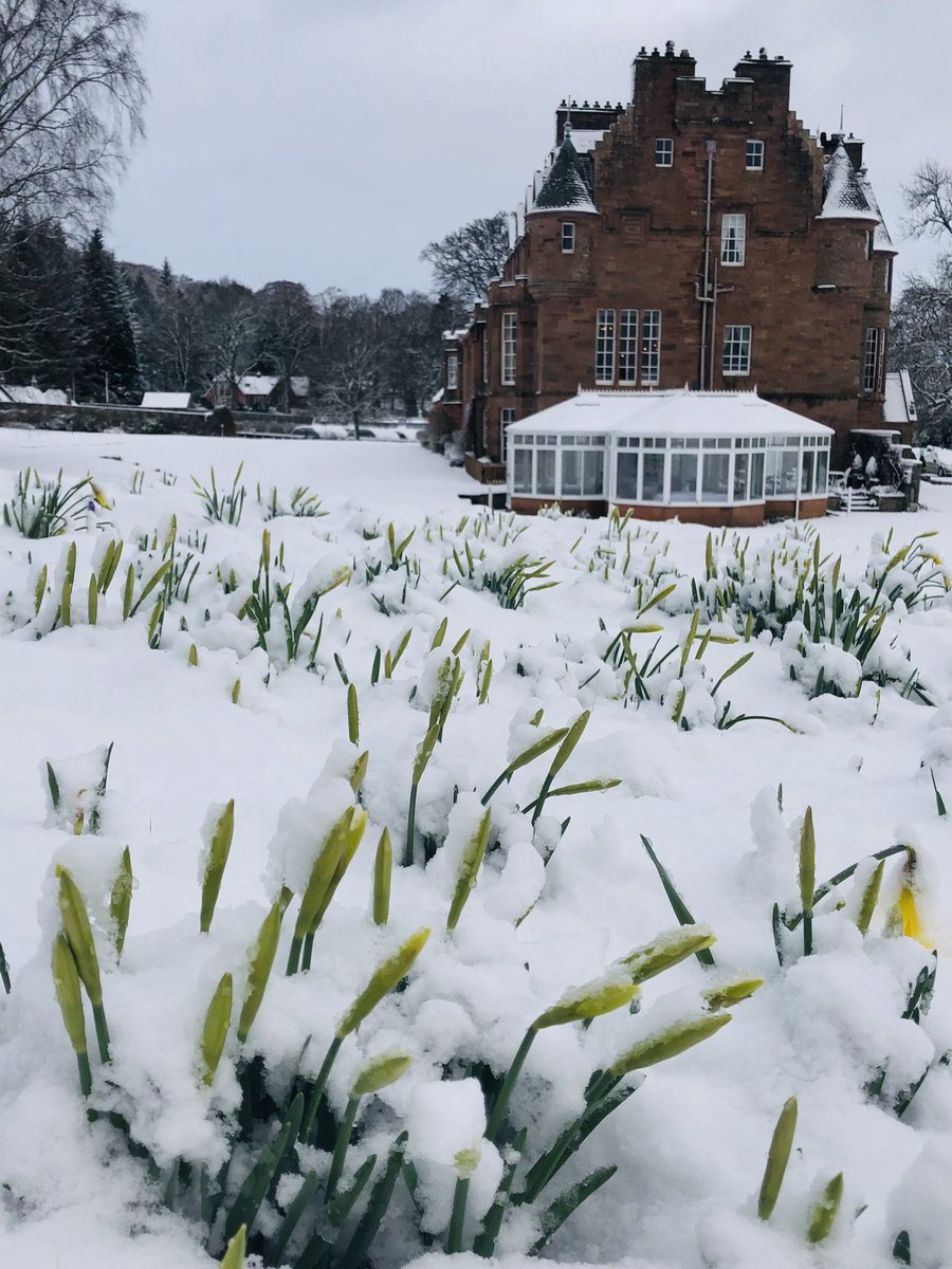 Good morning from a snow-covered Cringletie
#ScottishBorders #Peebles