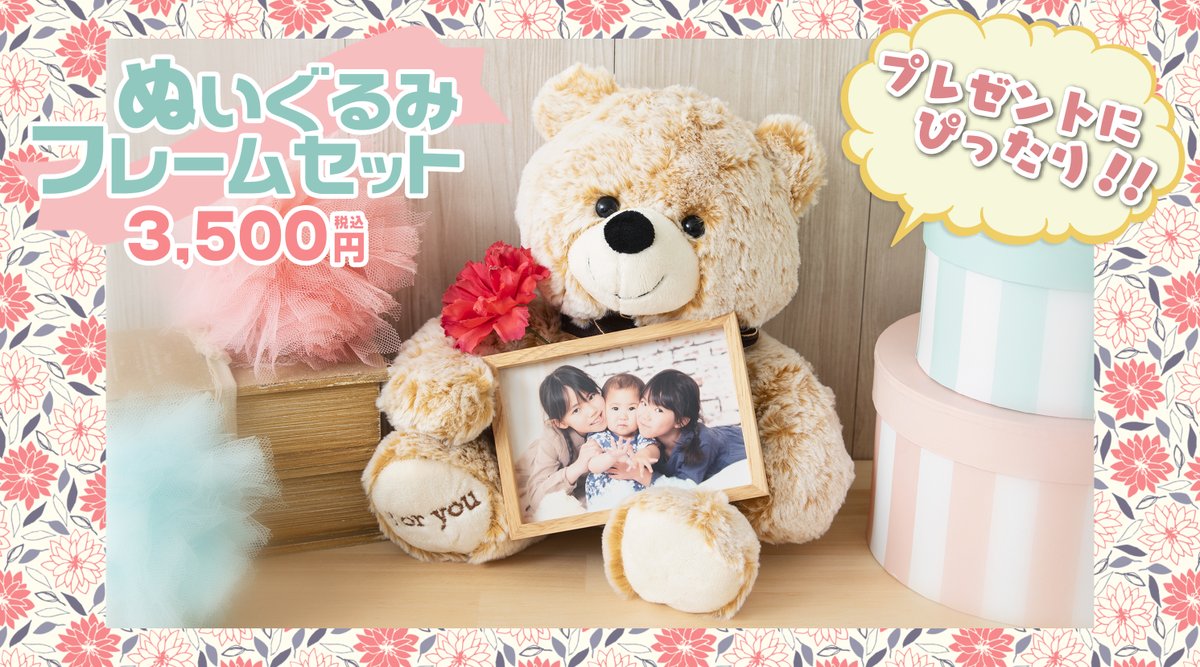 コイデカメラ シャポー小岩店 かわいいクマのぬいぐるみ が額縁を抱っこしている ぬいぐるみフレームセット ずっと触っていたくなるフワフワの毛並みです ホワイトデーや卒業卒園の贈り物にぴったり プレゼントにいかがでしょうか