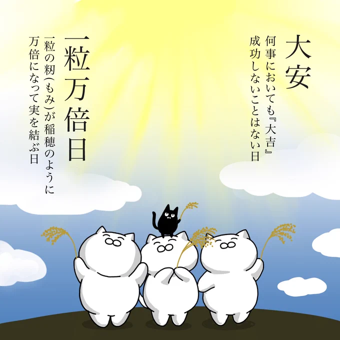 本日5月24日は『大安』と『一粒万倍日』の2つが重なる縁起の良い日。 