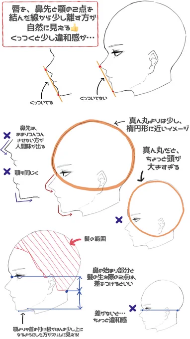横顔の描き方の質問を結構もらったので……参考になれば……

※美術を何一つ知らない素人の独り言ですので、期待しないでください 