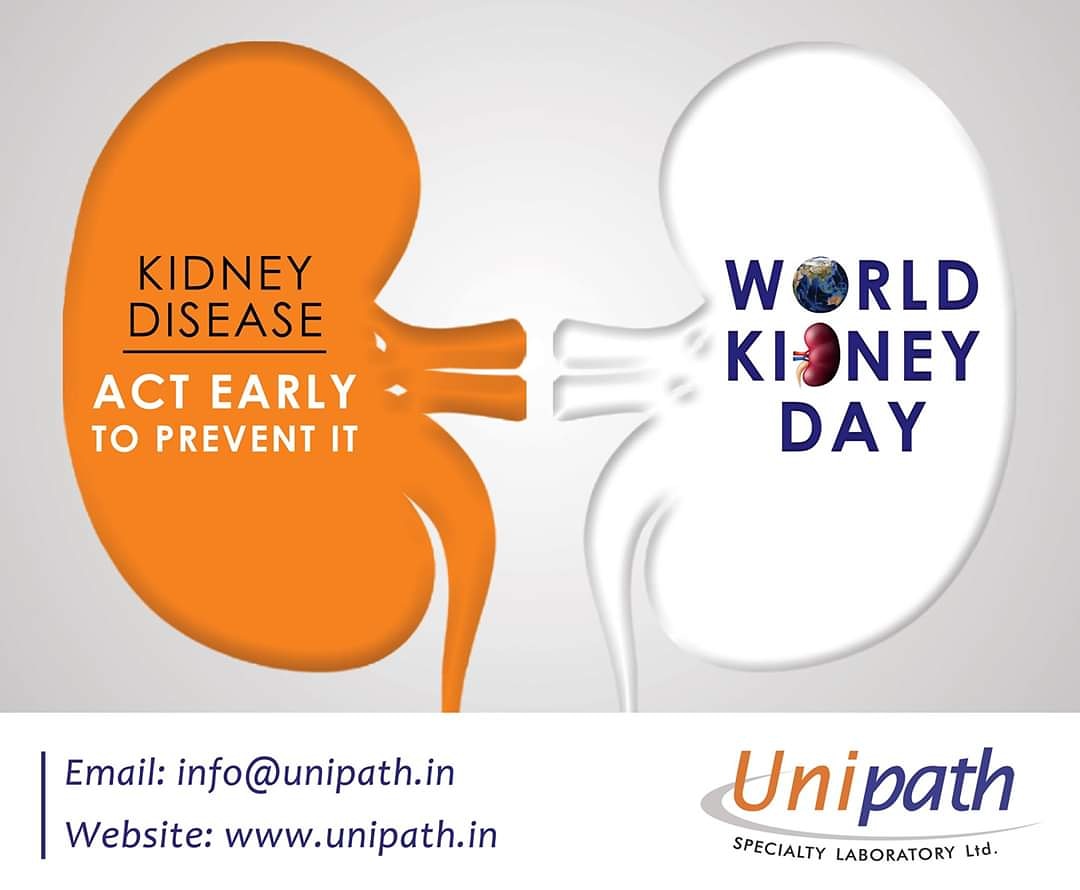 UnipathL's tweet photo. World kidney day 2020 theme-"Kidney Health for Everyone Everywhere– from Prevention to Detection and Equitable Access to Care"
Prevention is better than cure. Hence, book a health package at Unipath specialty laboratory and get yourself checked.
#unipathspecialtylaboratory
#USLL https://t.co/OrVEzYqnAQ