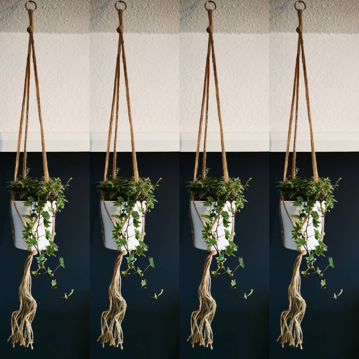 EH_DesignNotts's tweet photo. A little greenery adding colour and life to a room #hangingpots #bespoke #Nottingham #interiorstyling #interiordesign #hagueblue https://t.co/olZsWzAOaD