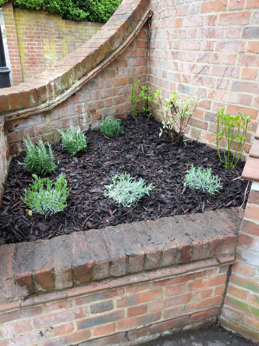 10uclfarnham's tweet photo. Our flower bed is looking a bit tired of winter. What do you think we should plant for early spring colour? It's come a long way in 2 years from an unsightly scrubby patch full of beer cans. We've got some lovely Mediterranean herbs, but they don't look their best right now. https://t.co/el6OZNlNv7