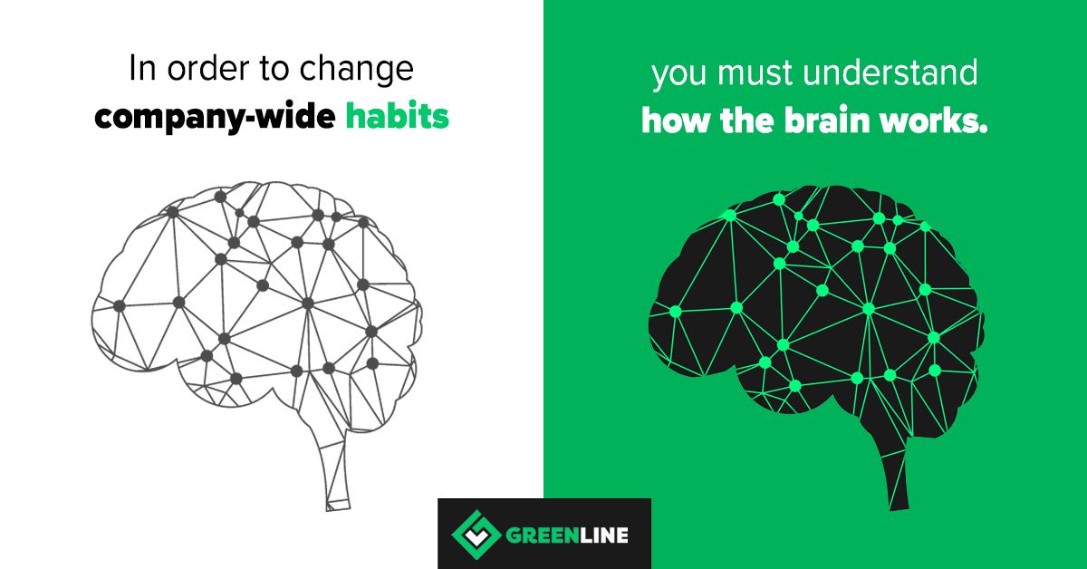 GreenLineGlobal's tweet photo. The brain is only about 2% of your body mass but uses 20% of your entire energy to run properly.

This is why you do so many things habitually, to save precious energy.

To change company-wide habits, you must understand how the brain works.

Learn more: https://t.co/IpsruAeOgu https://t.co/ZfCd7p9DZF