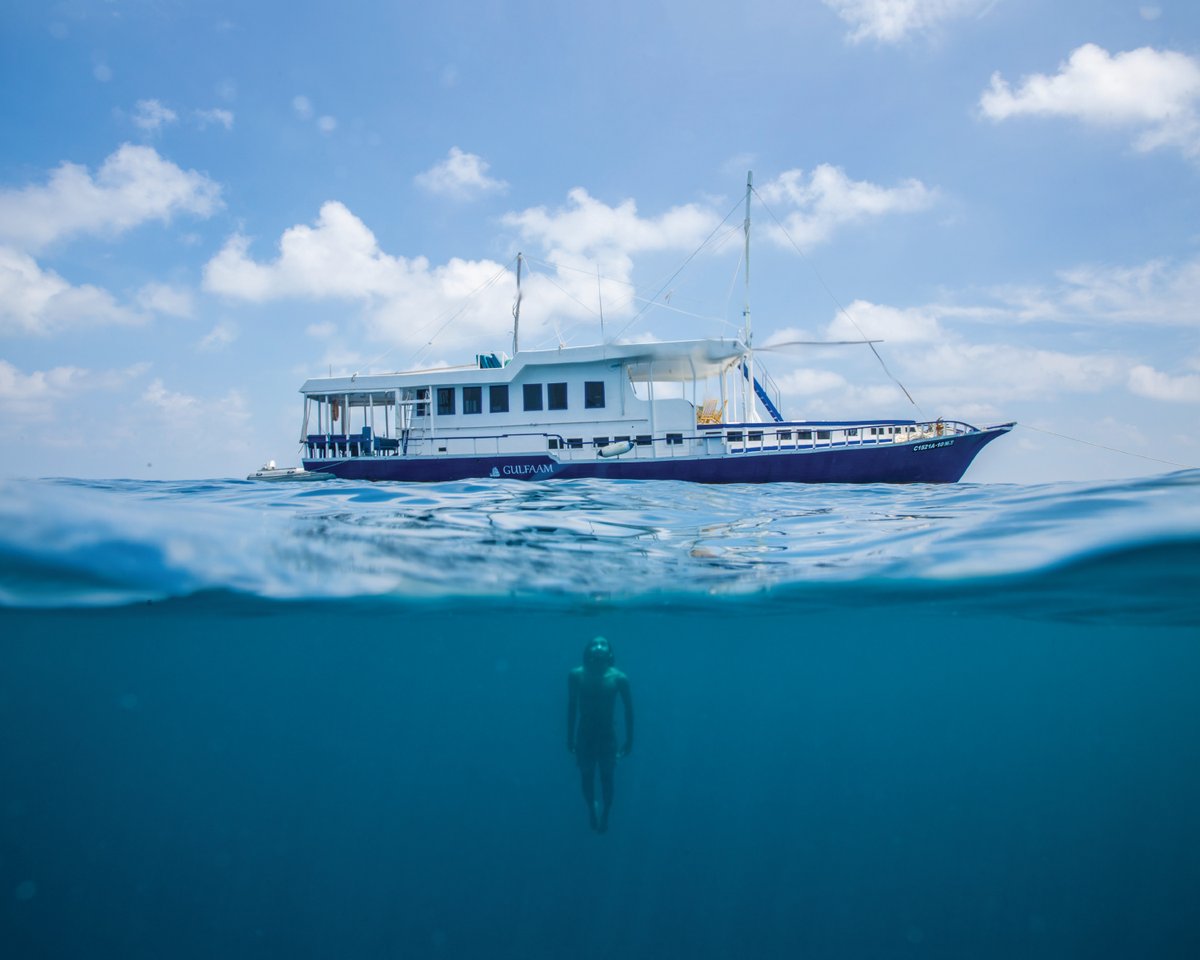 BackpackersM's tweet photo. Your crew, your friends, your family and nobody else ! Book a private Cruise and discover Maldives with the loved ones ! ⛵🏝️

PRIVATE CRUISE ➡️ https://t.co/aHDxgQ6jkS

CRUISING MALDIVES ➡️ https://t.co/zGBJ9xVWqX

#Cruise #privateCruise #liveaboard #safariboat #familyholidays https://t.co/I2pKXys00b