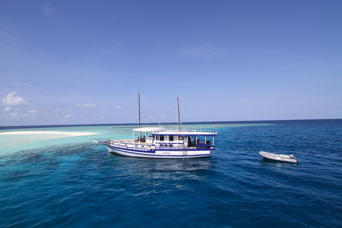 BackpackersM's tweet photo. Your crew, your friends, your family and nobody else ! Book a private Cruise and discover Maldives with the loved ones ! ⛵🏝️

PRIVATE CRUISE ➡️ https://t.co/aHDxgQ6jkS

CRUISING MALDIVES ➡️ https://t.co/zGBJ9xVWqX

#Cruise #privateCruise #liveaboard #safariboat #familyholidays https://t.co/I2pKXys00b
