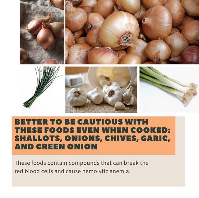 thecaninemart's tweet photo. 🐾 As paw parents, one of the most important things for our fur babies is being healthy and happy! Here’s some information about what we should NOT feed to our dogs. Every dog is unique, and these are the things to keep in mind. #thecaninemart #petshopabuja #petiq #abujadogs https://t.co/uFomT1iruR