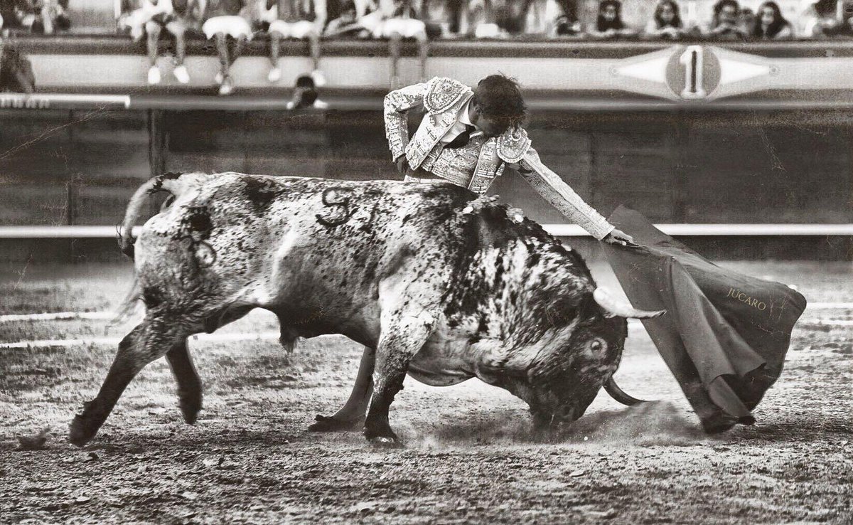 🥳| ¡Hoy es un día especial, hoy <a href="/Angel_Sanchez12/">Angel Sanchez</a> cumple 24 años!🎉🎂
Se vienen cosas importantes...🕒⏳