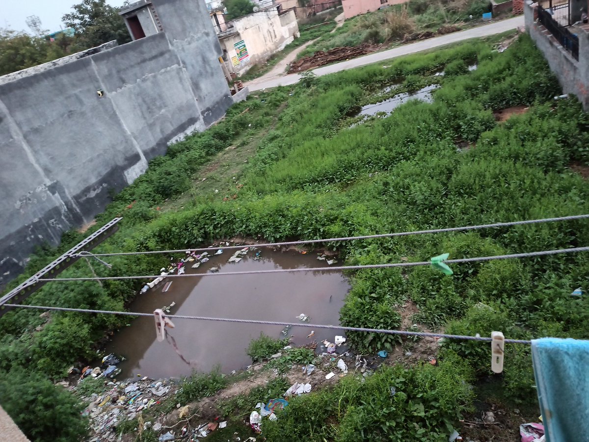 Rahul94745548's tweet photo. @NppLoni @UppcbG  We are facing #garbage &amp; #sewagewater  near our house at #Rampark #Loni we are requested to please do something to clean this area.@ravidhama7 https://t.co/ubV68SKjqF