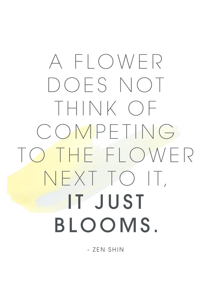 "A flower does not think of competing to the flower next to it, it just blooms." 🌱

Head over to our success stories to see how we have helped young people across Lincolnshire bloom!

Read more >> freshtimefuturestrust.org/success-storie…