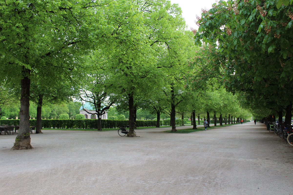 RoccoPace2's tweet photo. Read my latest #research on #modeling particle removal by urban #trees in different #cities, published with @FrontSustain in Frontiers in Forests and Global Change 🌳🏙️🌲👉Full text at: https://t.co/OKGxJcriD5 https://t.co/6gFq4q3fjB