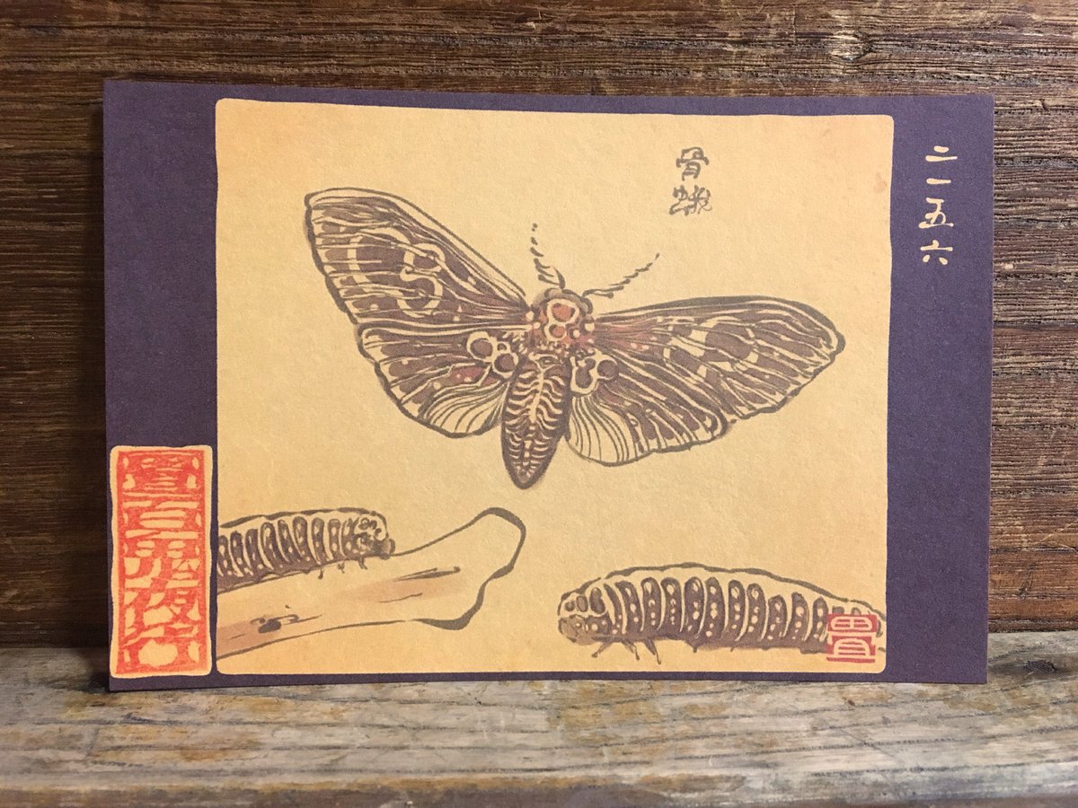 畳百鬼夜行絵巻ポストカード
2156番目「骨蛾(こつが)」
https://t.co/9Nzd0yorDh 