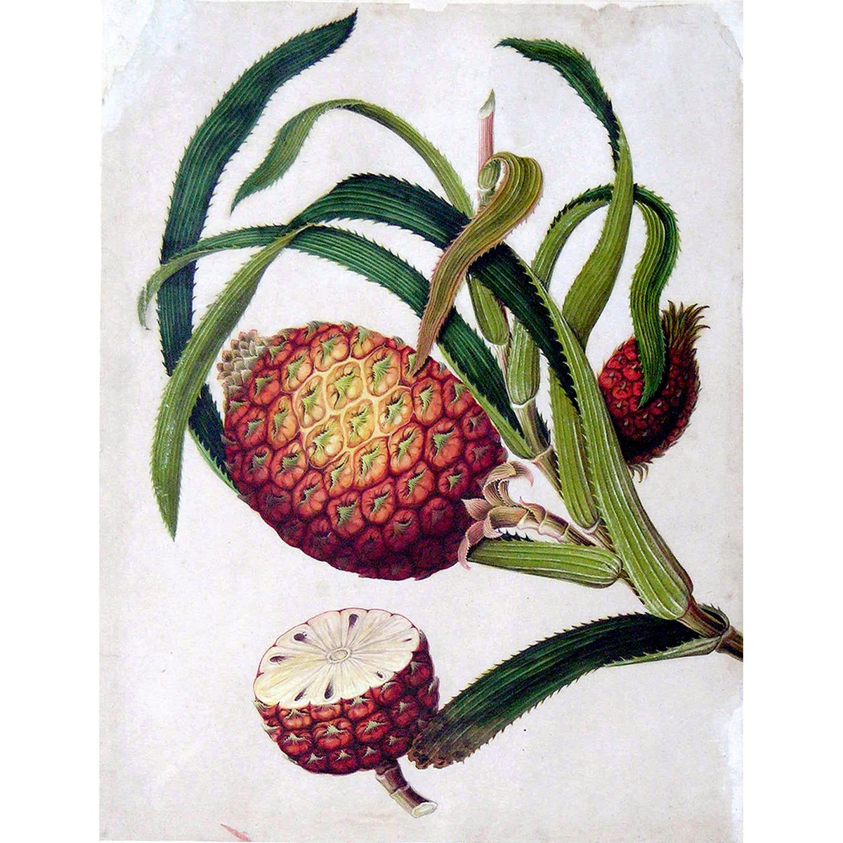 AraderGalleries tweet media