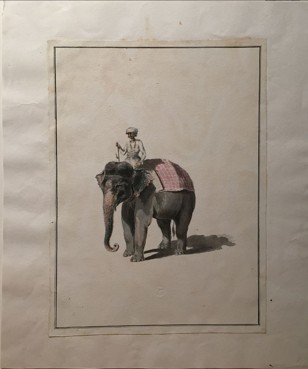 AraderGalleries tweet media