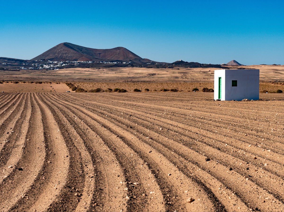 TurismoLZT's tweet photo. Good morning #Lanzarote! ☀️
⠀⠀⠀⠀⠀⠀⠀⠀⠀
#LatitudeOfLife #VisitSpain https://t.co/qBYwJERjnd