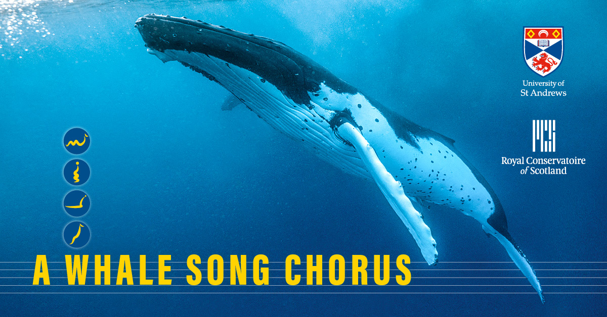 RCS_The Exchange (@rcs_theexchange) on Twitter photo Join doctoral student, Alex South, this Saturday at Glasgow Science Centre for 'A Whale Song Chorus' <a href="/gsc1/">Glasgow Science Centre</a> glasgowsciencecentre.org/node/2406 Join doctoral student, Alex South, this Saturday at Glasgow Science Centre for 'A Whale Song Chorus' <a href="/gsc1/">Glasgow Science Centre</a> glasgowsciencecentre.org/node/2406