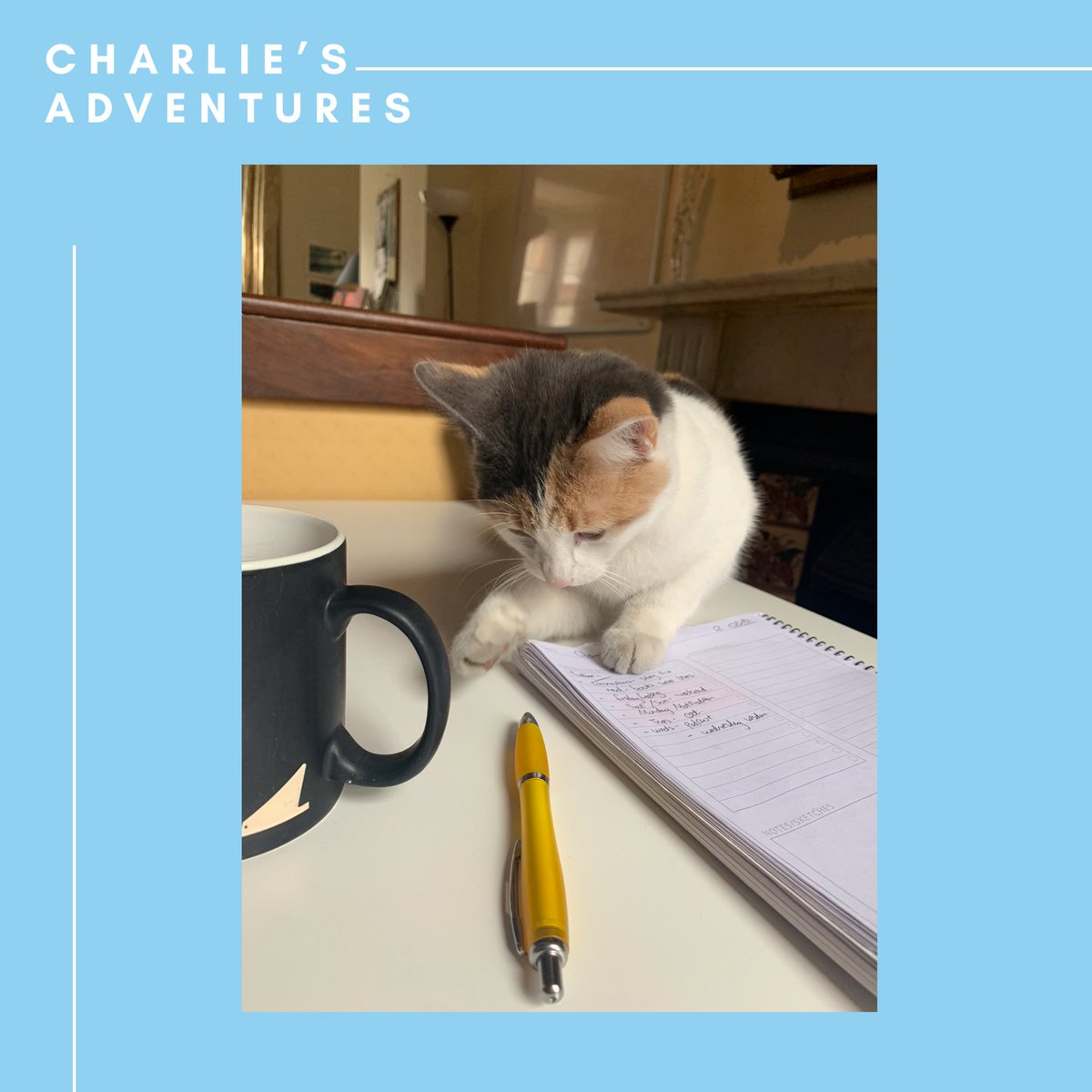 Charlie’s “helping out” in the office today 🐱 #CatsinPublishing #CatsOfTwitter #CharliesAdventures