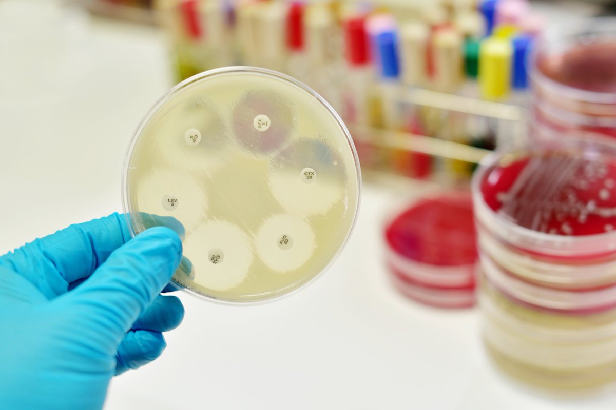 Antibiotico para sibo Antibiotico para sibo
