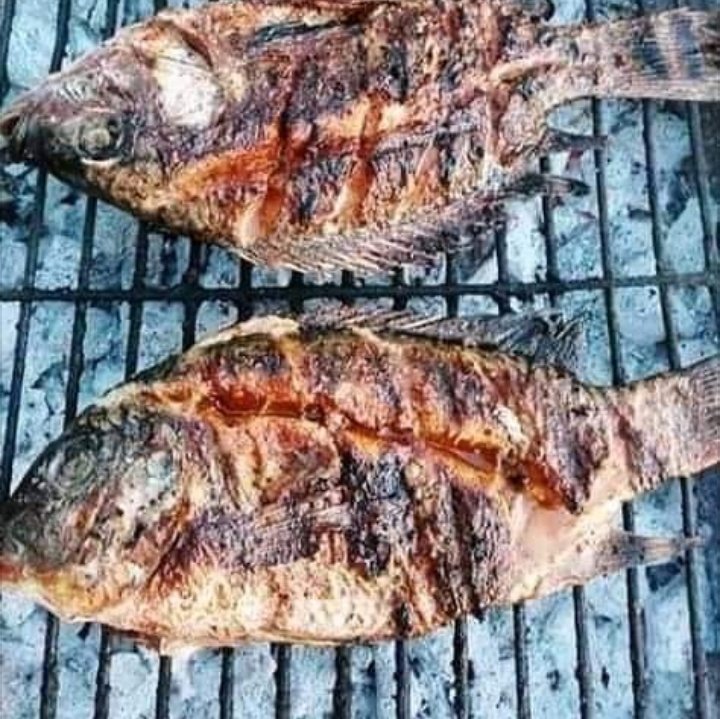 Gofa_Craig's tweet photo. If you happen to be in Francistown go and support a good friend of mine... The number one fish selling spot in the Ghetto #StrataSaoBitsa https://t.co/EOZcBquj2t