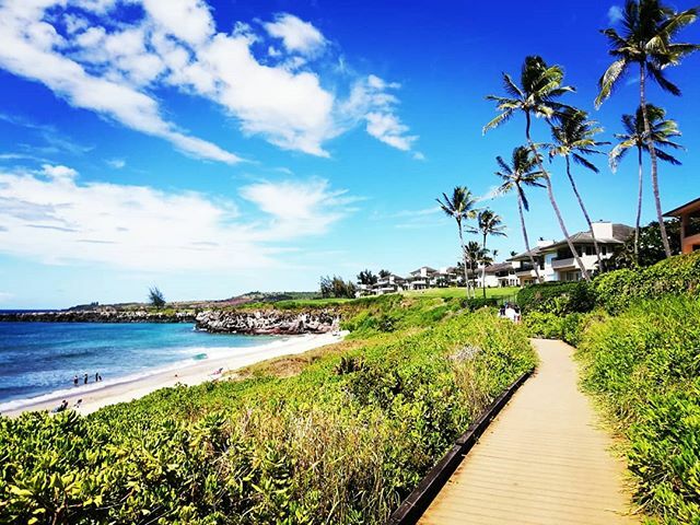 Ora vorrei essere esattamente qui: sole, mare, vento e libertà... Soprattutto quella... Teniamoci stretti i nostri sogni ✨✨
.
.
.
.
#viaggiamondo #travelgram #thegoodlife #traveltips #instagood #photooftheday #instamood #picoftheday #bestoftheday 
#v… ift.tt/2Q8zHZo