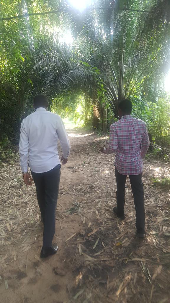 Kosalaafricapme's tweet image. Dans le cadre d'un plan d'accompagnement pour soutenir et encourager l'initiative de l'association #Zoolandia par #Kosála, j'ai visité le parc Zoologique et Botanique de Brazzaville qui est en pleine transformation grâce à l'implication de Zoolandia dirigée par un jeune congolais