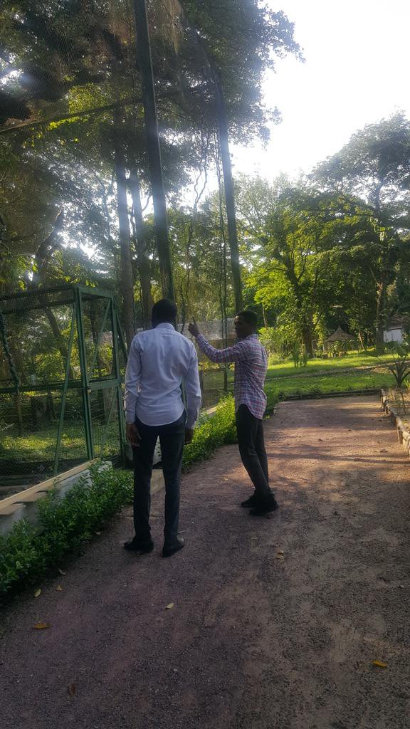 Kosalaafricapme's tweet image. Dans le cadre d'un plan d'accompagnement pour soutenir et encourager l'initiative de l'association #Zoolandia par #Kosála, j'ai visité le parc Zoologique et Botanique de Brazzaville qui est en pleine transformation grâce à l'implication de Zoolandia dirigée par un jeune congolais
