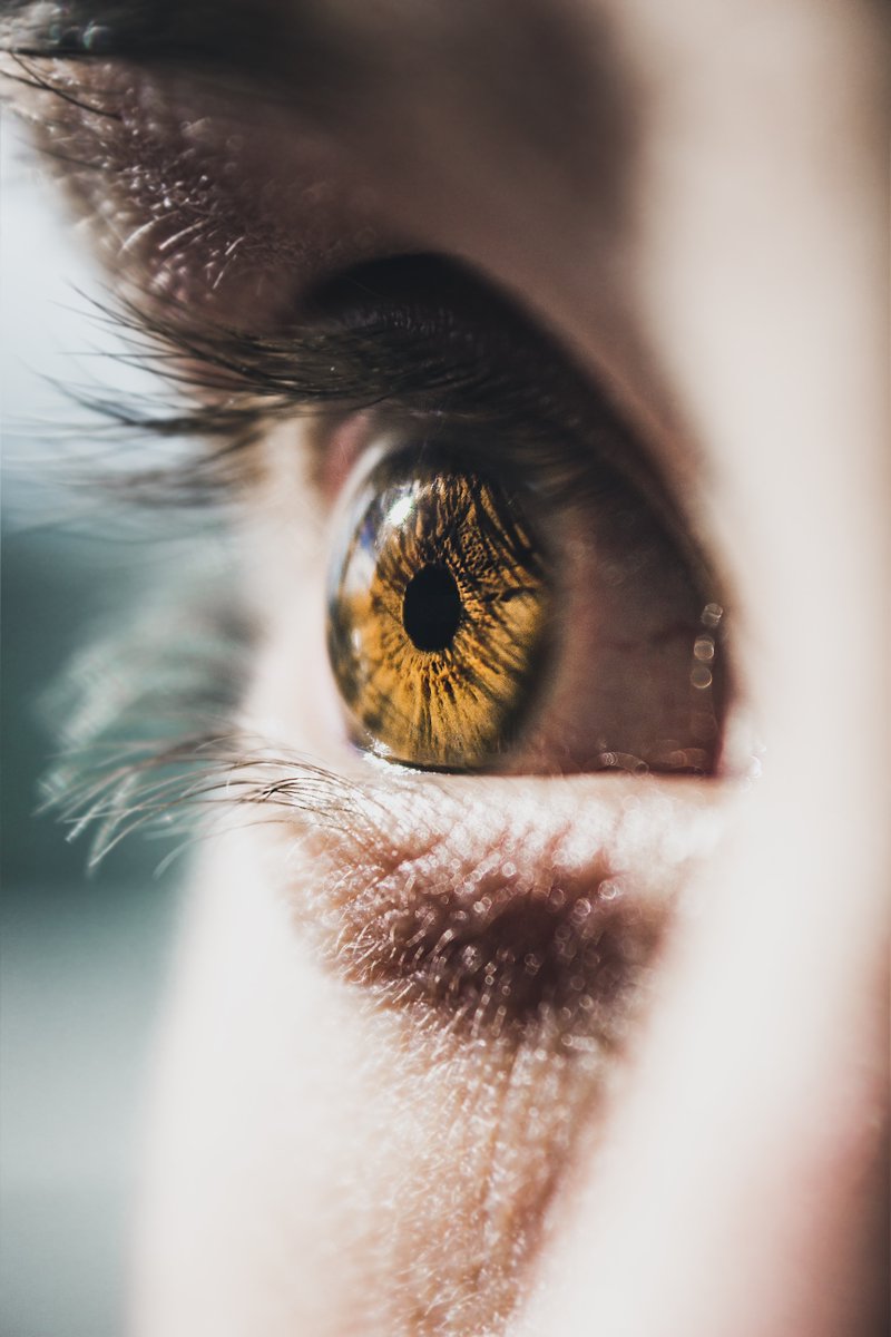 OpticaMEsteban's tweet photo. Hoy es el #DíaMundialDelGlaucoma, enfermedad que puede causar ceguera por la degeneración progresiva del nervio ocular. No suele tener tiene síntomas aparentes, por lo que el diagnóstico precoz es vital. Podemos realizar una revisión para prevenir un estado avanzado del #Glaucoma https://t.co/QDUgkF9R1z