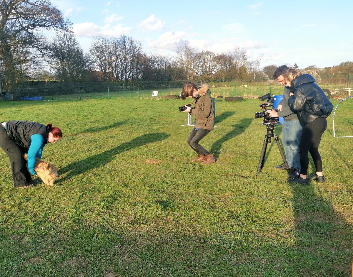 cassntay's tweet photo. Current Piplin (BGT) project is a huge amount of fun for the dogs and us handlers!! More to come over the following weeks but it'd sure to bring smiles to faces!! 😍 At Dog Training for Essex and Suffolk #piplin #BGT #dogs #tvpilot #DogTraining https://t.co/8qLtGMsOp4