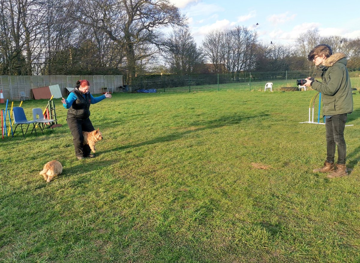 cassntay's tweet photo. Current Piplin (BGT) project is a huge amount of fun for the dogs and us handlers!! More to come over the following weeks but it'd sure to bring smiles to faces!! 😍 At Dog Training for Essex and Suffolk #piplin #BGT #dogs #tvpilot #DogTraining https://t.co/8qLtGMsOp4