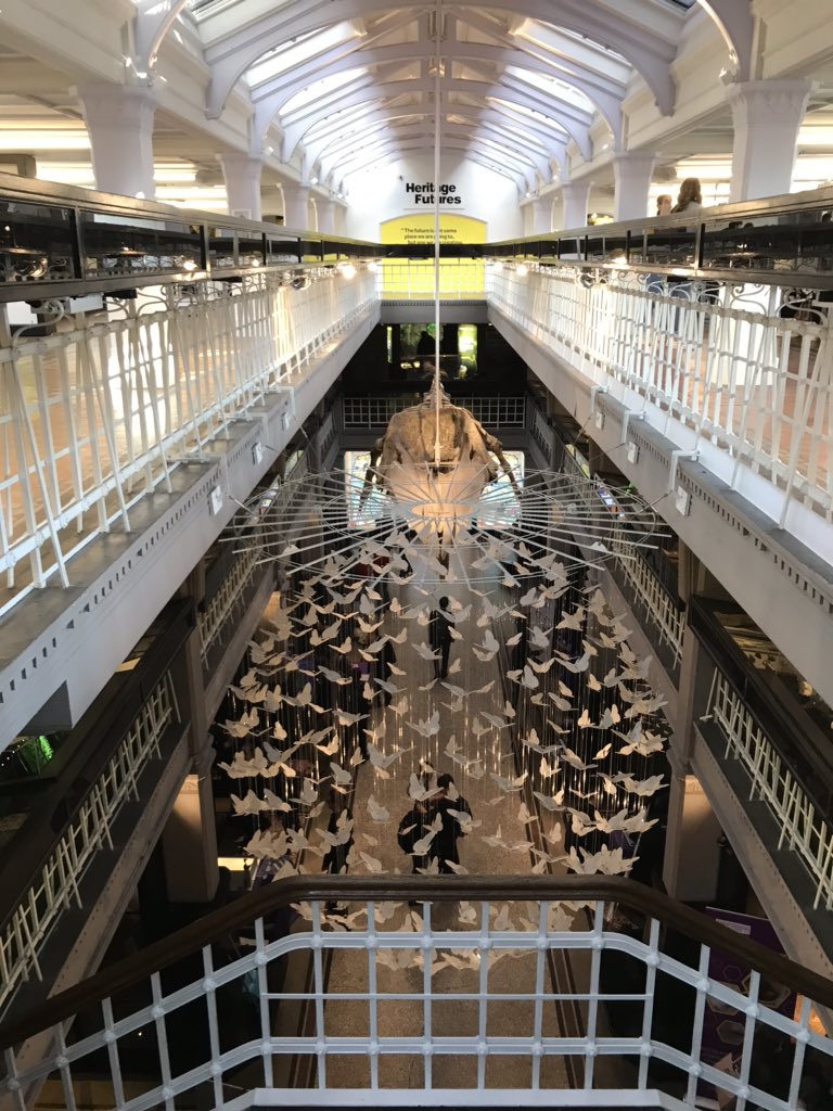 UofMMFIG's tweet photo. Having a great time #BioDiscovery2020 @OfficialUoM inspiring the next generation #STEM https://t.co/JTK3H4gmW5