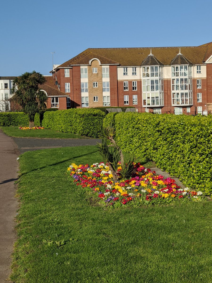 IAmCliftonville's tweet photo. The flowerbeds in front of The Oval band stand are looking very colourful and beautiful #theoval #cliftonville #spring #flowerbeds #margate #cliftonvilleinbloom https://t.co/H7HahJekSA