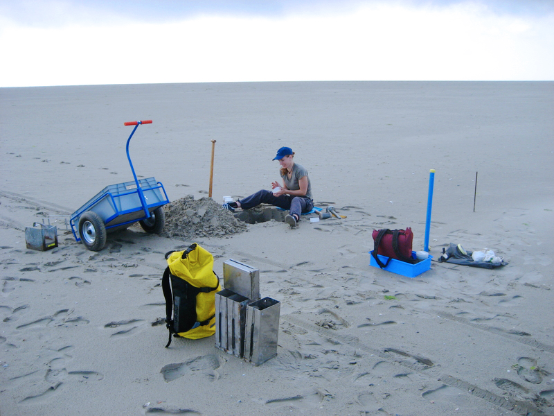 LuFI_LUH's tweet photo. We are proud to introduce our one-week #SummerSchool #uniCOAST combining academic lectures, practical fieldwork &amp; laboratory, as well as training on soft skills - a unique focus on interdisciplinary work in #coastal research.

https://t.co/rfbH1gDNTC

@Senckenberg @UniHannover https://t.co/w1CoMT3tXP