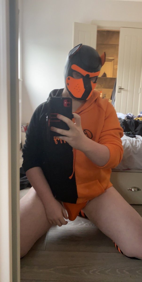 AWickedPup's tweet photo. Got most of the pup gear I was getting from Wish, a month late lol #FuckWish #SlutsForBernie #GayPup #PupPlay #OrangePup https://t.co/3mm6mGkVUc