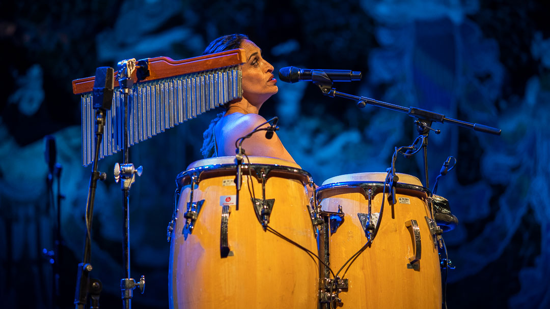 ArcoirisLS's tweet image. 💡 Noa Celebra sus 30 años de carrera en el @palaumusicacat dentro del @guitfestbcn 2020, acompañado de Joan Manuel Serrat, Judit Neddermann y el Cor de Noies de l’@Orfeó Català. 🎤
📸 @JordiDeza
#Noa #GuitarBCN2020 #Serrat #Neddermann #arcoirislightingsystems #arcoirislighting