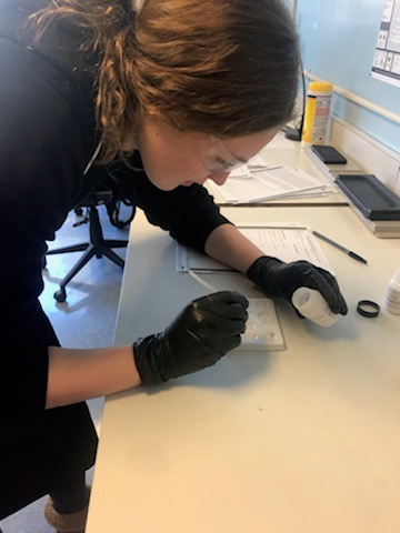 Burlington_Tech's tweet photo. Our students are learning key Theory & Investigative skills in our Criminal Justice program. #criminaljustice #forensics #fingerprinting #lawenforcement #criminaljusticecareer #lawforlife #careerpaths #vted #teched #btc #bsdvt #vtcte #CTE #techeducation #burlingtontech #btcbvt https://t.co/xJqafHzTvp