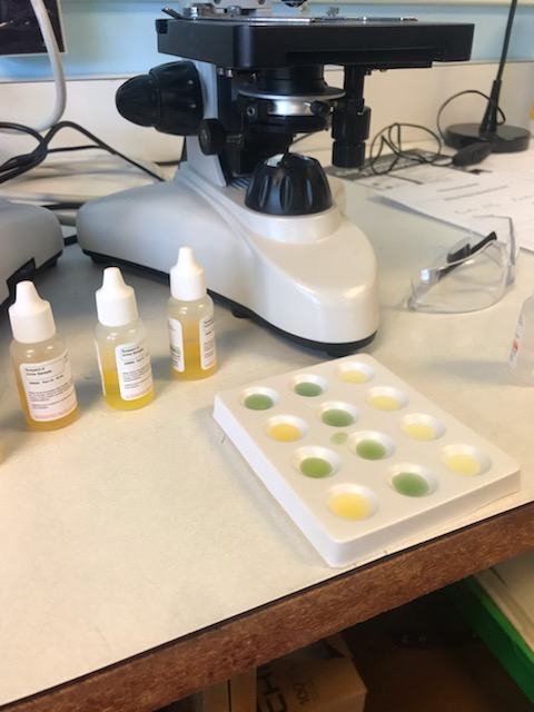 Burlington_Tech's tweet photo. Our students are learning key Theory & Investigative skills in our Criminal Justice program. #criminaljustice #forensics #fingerprinting #lawenforcement #criminaljusticecareer #lawforlife #careerpaths #vted #teched #btc #bsdvt #vtcte #CTE #techeducation #burlingtontech #btcbvt https://t.co/xJqafHzTvp