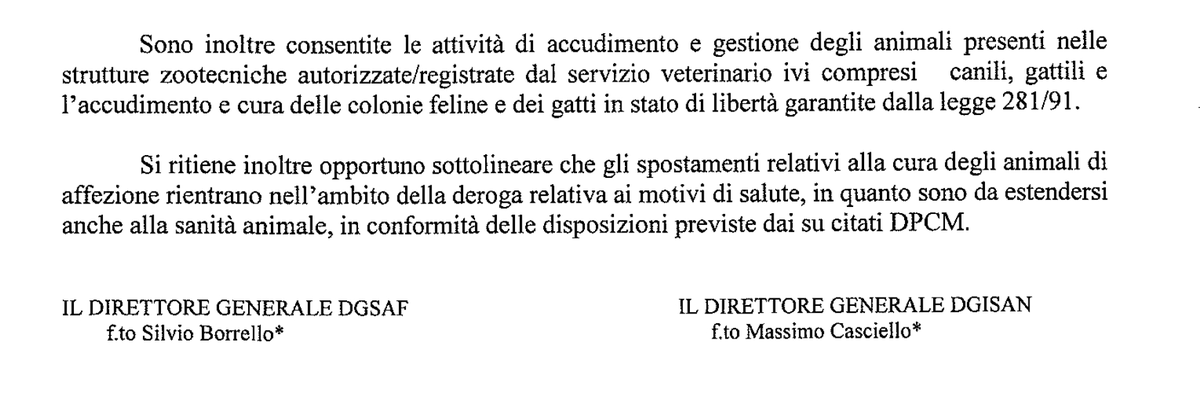 enpaonlus's tweet photo. +++ULTIM'ORA. #Covid_19, MINISTERO DELLA SALUTE: CONSENTITE ATTIVITA' DI ACCUDIMENTO IN CANILI, GATTILI E COLONIE FELINE +++ https://t.co/80bRiOap2N