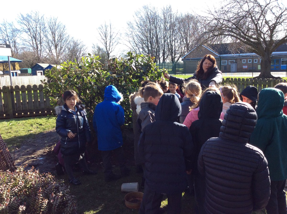 BrambleClassHFS's tweet photo. We have been observing the wildlife around school and making observational drawings of plants and flowers 💐 #BSW20 #GSTSTEM #OurDiversePlanet https://t.co/UREs7gnUKm