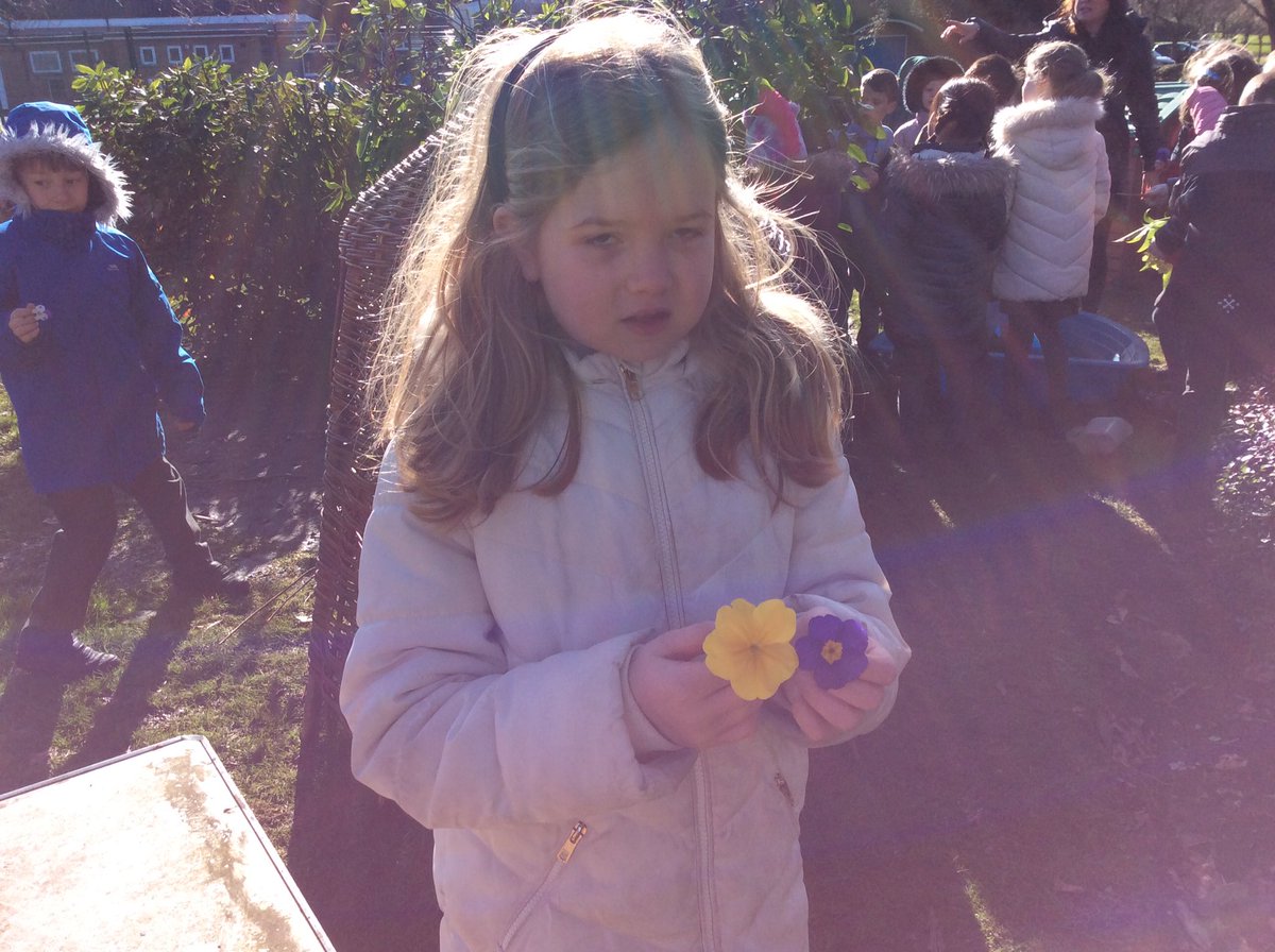 BrambleClassHFS's tweet photo. We have been observing the wildlife around school and making observational drawings of plants and flowers 💐 #BSW20 #GSTSTEM #OurDiversePlanet https://t.co/UREs7gnUKm