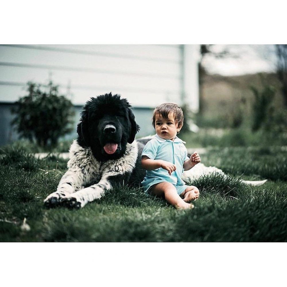 Share if you find it terrific!