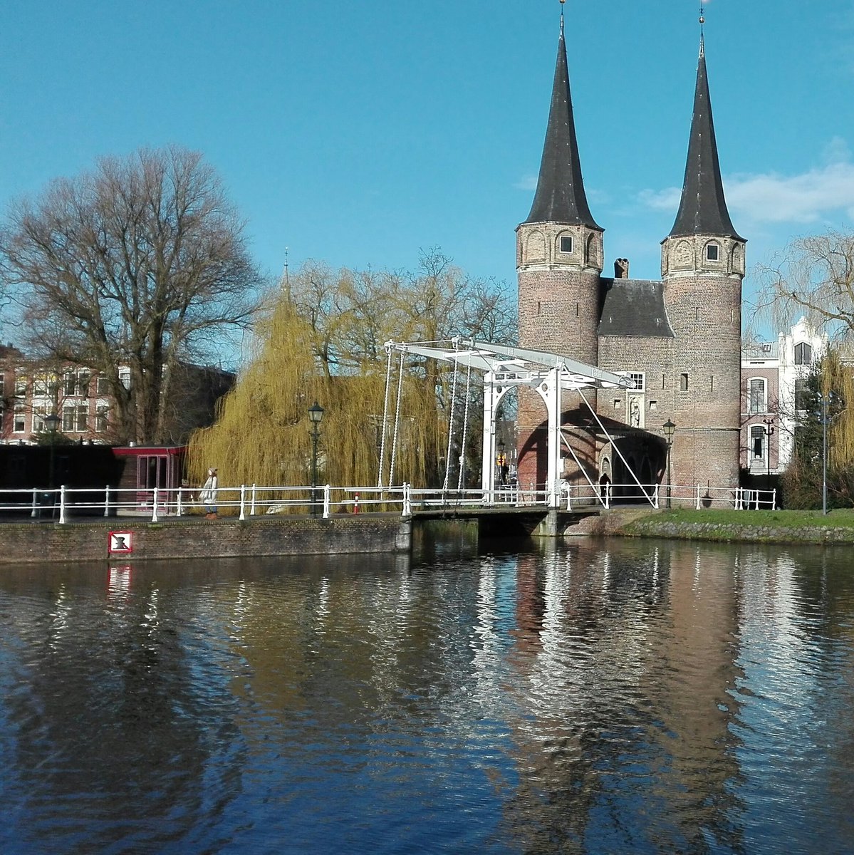 davidest23's tweet photo. @tomasomontanari @raicinque @RaiPlay Eccola qui vicino a casa mia: la luce di Delft, bella e (ancora) indifferente ai fatti del mondo.
Grazie per le puntate. https://t.co/PN2AymECWb