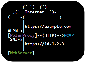 netresec tweet picture