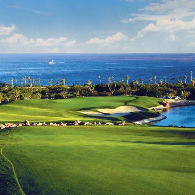 WGAgolf's tweet photo. Dreaming of sun, beach, and golf to match? The Desert Course at @Cabodelsol is top of our list for an ocean view in an oasis setting. https://t.co/g0h4N3Ie2m