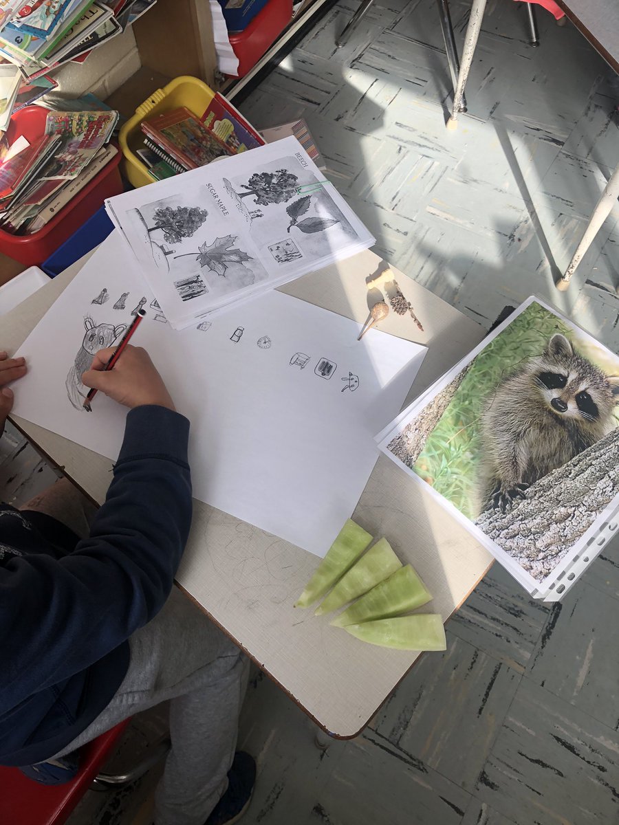 SuperOgden's tweet photo. So happy to have had Leslie from #TDSBCreates spend all morning with Room 11. We talked about natural elements we see in our community, sketched native plants and animals, and began to stitch! @TDSB_Ogden https://t.co/aMPvr0bQpG