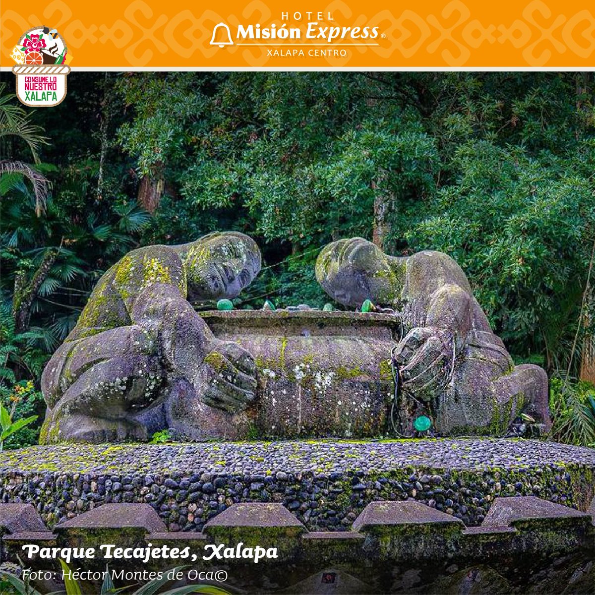 MisionExpressXa's tweet photo. ¡En Xalapa siempre hay un lugar que descubrir! ¡Visítala y vive una increíble experiencia! 

#Xalapa #Turismo #ExperienciaMisión https://t.co/eFcQt9DFoj