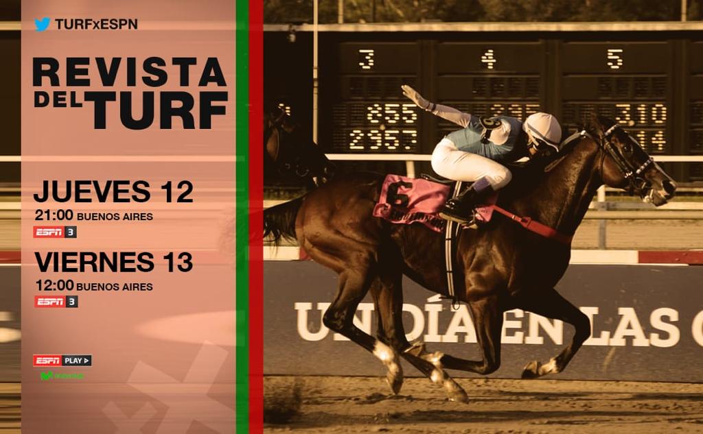 HipodromoSI's tweet photo. Reviví las mejores carreras de la semana, del @HipodromoSI, y lo que dejó el #SorteoDePartdiores del #Longines #Latino2020, en #LaRevistaDelTurf. 📺
ESPN 🐴 #TURFxESPN
#SomosHSI 🇦🇷 #DondeCorrenTusEmociones https://t.co/GCGzBRp7Cp