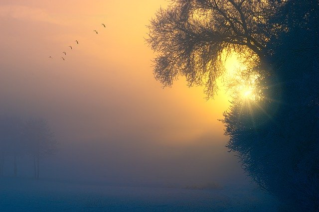 SuzanneEder's tweet photo. What if you could trust that every moment of your life is either an expression of the Love that you are, or an opportunity to awaken further to it? https://t.co/8aZQUo9qaa #selflove https://t.co/nkUUe6aPRl
